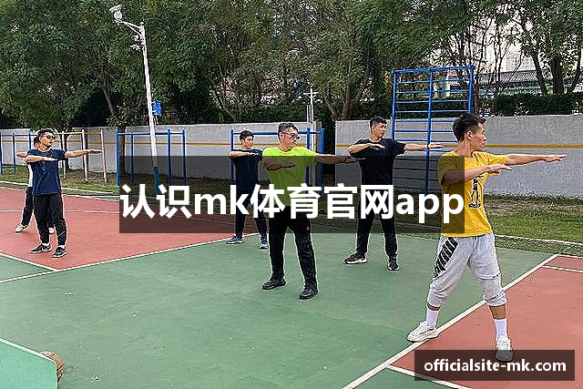 认识mk体育官网app